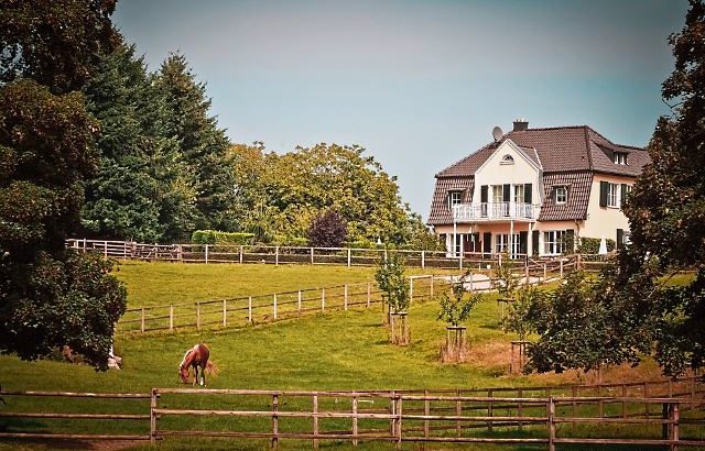 guenstig Urlaub machen mit Housesitting